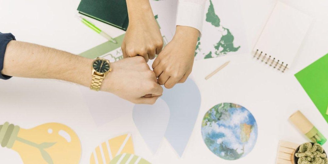 Comunicación y sostenibilidad: cómo distintos sectores convierten lo ecológico en ventaja competitiva